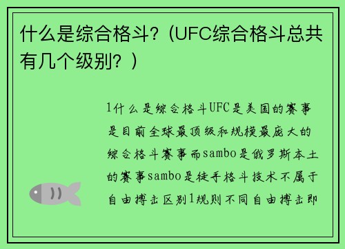 什么是综合格斗？(UFC综合格斗总共有几个级别？)